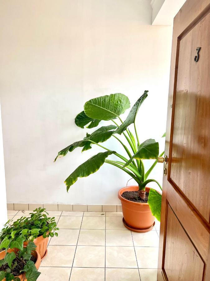Urbano Hotel Tarija Eksteriør billede